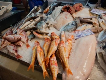 Mesa Luísa - Galeria (4)